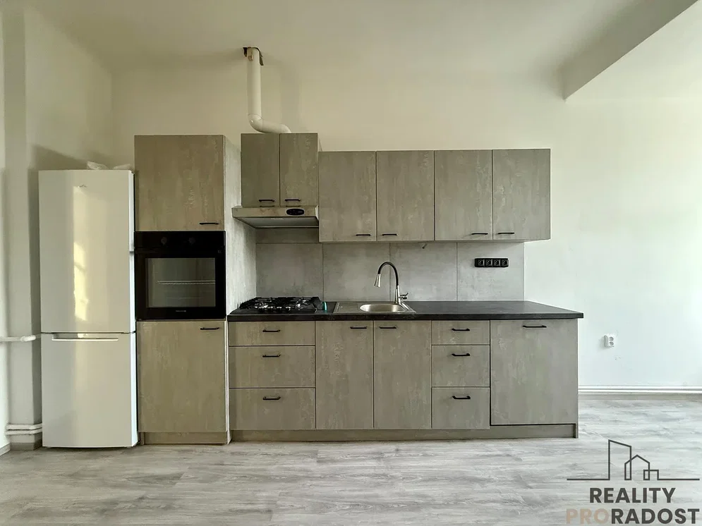 Кухиња; кухињски апарати, природно светло, реновиран