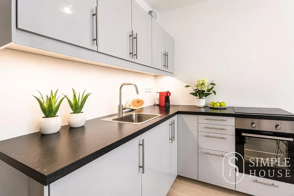 Kuhinja; kuhinjski aparati, prirodno svjetlo, moderni stil