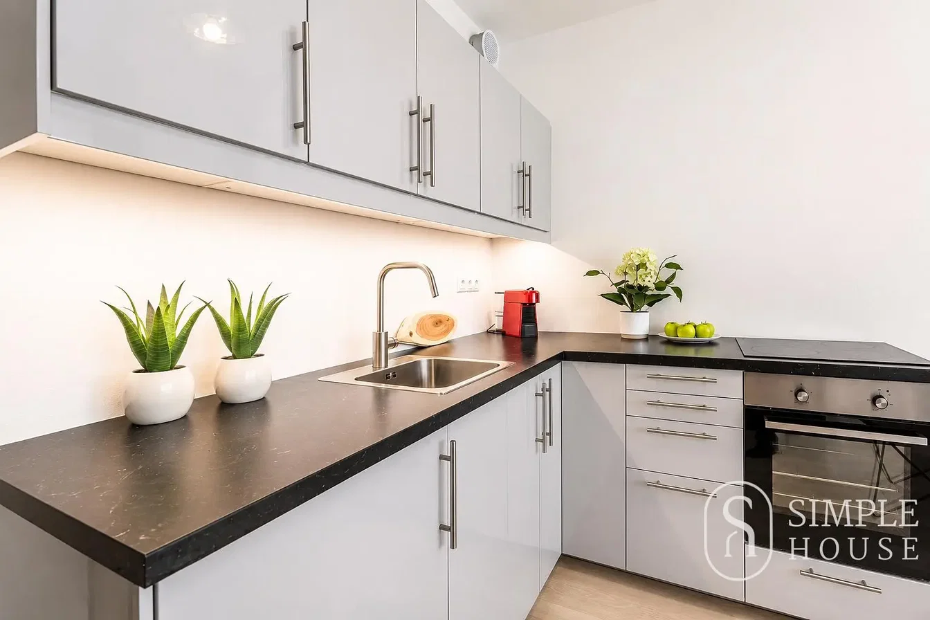 Kuhinja; kuhinjski aparati, prirodno svjetlo, moderni stil
