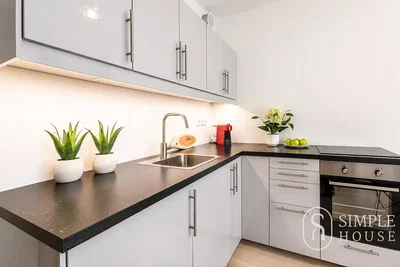 Kuhinja; kuhinjski aparati, prirodno svjetlo, moderni stil