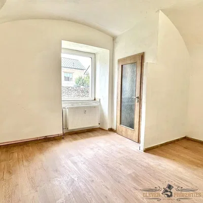 Ostatní; dřevěná podlaha, přirozené světlo