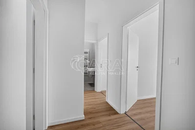 Inne; podłoga drewniana, światło dzienne
