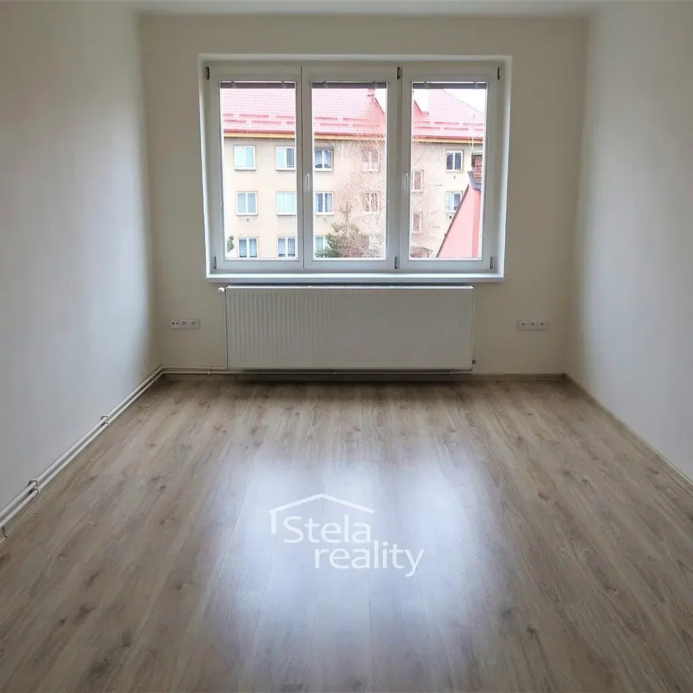 Other; wood floor, natural light