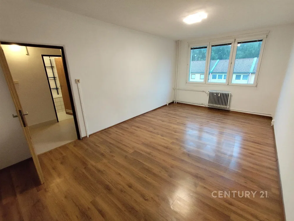 Salon; parquet, lumière naturelle