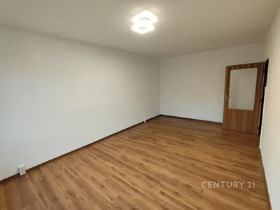 Autre; parquet, lumière naturelle