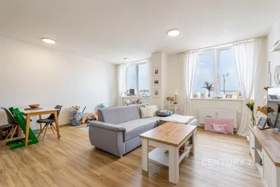 Living room; wood floor, natural light