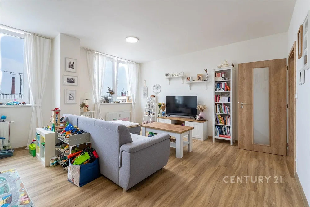 Living room; natural light, wood floor, modern style