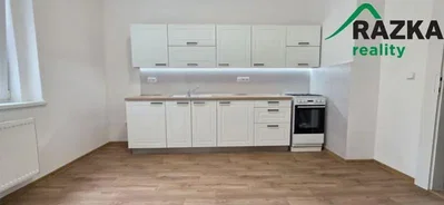 Kuchyně; kuchyňské spotřebiče, dřevěná podlaha, přirozené světlo