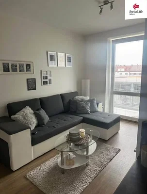 Obývací pokoj; výhled, dřevěná podlaha, přirozené světlo