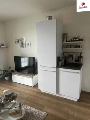 Kuchyně; kuchyňské spotřebiče, dřevěná podlaha, přirozené světlo