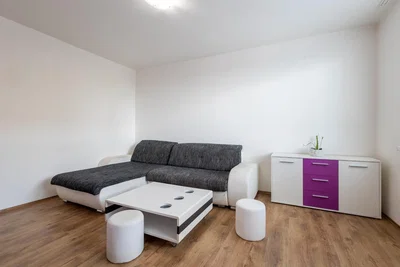 Salon; parquet, lumière naturelle