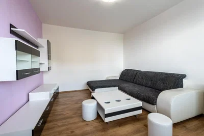 Salon; parquet, lumière naturelle, style moderne