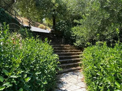 Maison et environs; lumière naturelle, nécessite rénovation