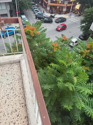 Balcon; vue, lumière naturelle