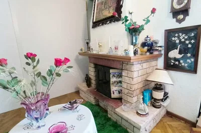 Living room; fireplace, rustic style, wood floor, natural light