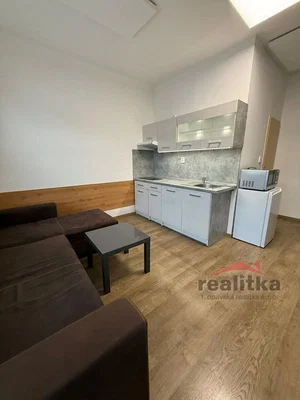 Salon; électroménager, parquet, lumière naturelle