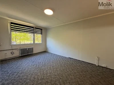 Ostatní; přirozené světlo
