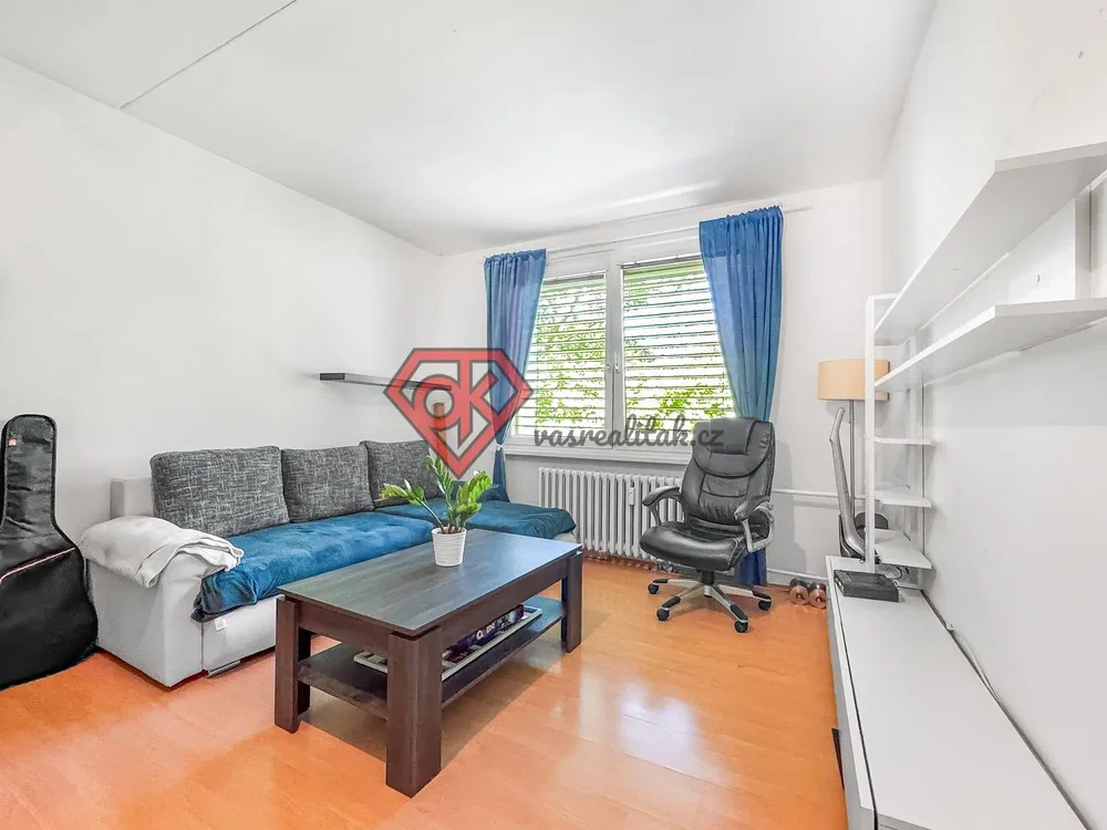 Salon; lumière naturelle, parquet