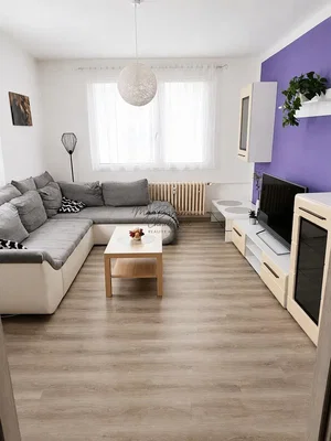 Wohnzimmer; tageslicht, holzboden, moderner stil