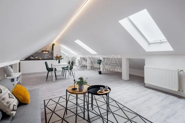 Living room; natural light, wood floor, modern style