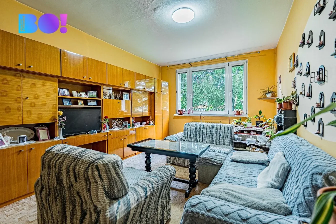 Living room; natural light, wood floor