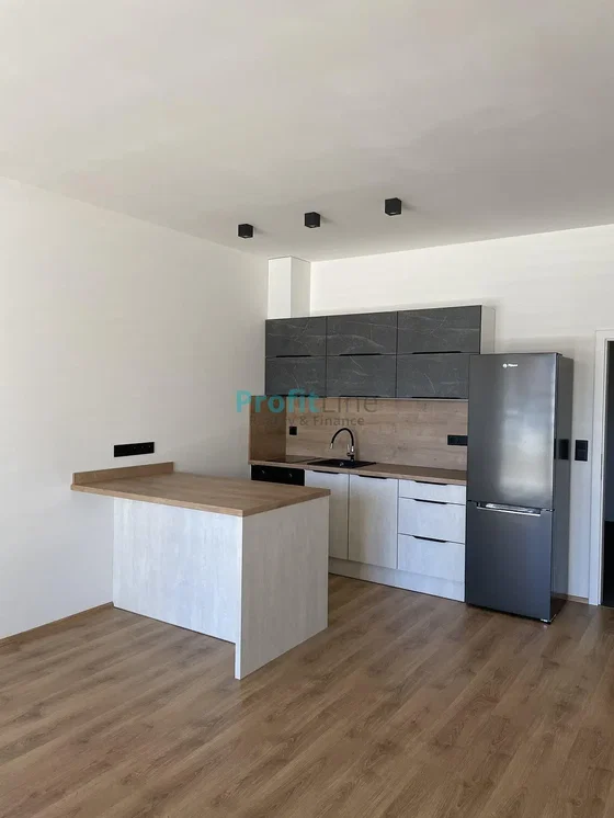 Kuchyňa; kuchynské spotrebiče, drevená podlaha, prirodzené svetlo