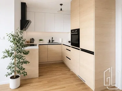 Kuchyně; kuchyňské spotřebiče, dřevěná podlaha, přirozené světlo, moderní styl