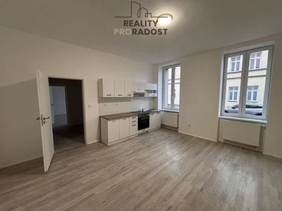 Kitchen; kitchen appliances, wood floor, natural light