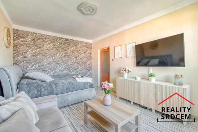 Living room; natural light, modern style, wood floor