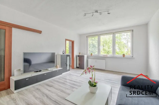 Living room; natural light, wood floor, modern style