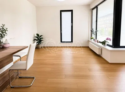 Wohnzimmer; holzboden, tageslicht