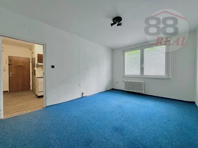 Obývací pokoj; přirozené světlo, nutná rekonstrukce