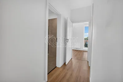 Other; wood floor, natural light, view