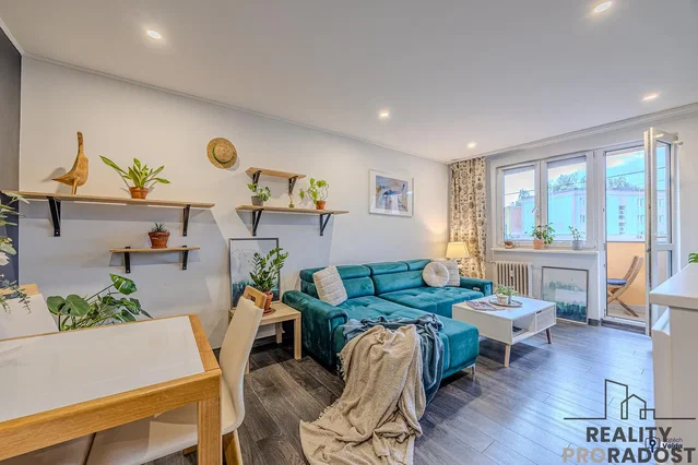 Living room; natural light, modern style, wood floor