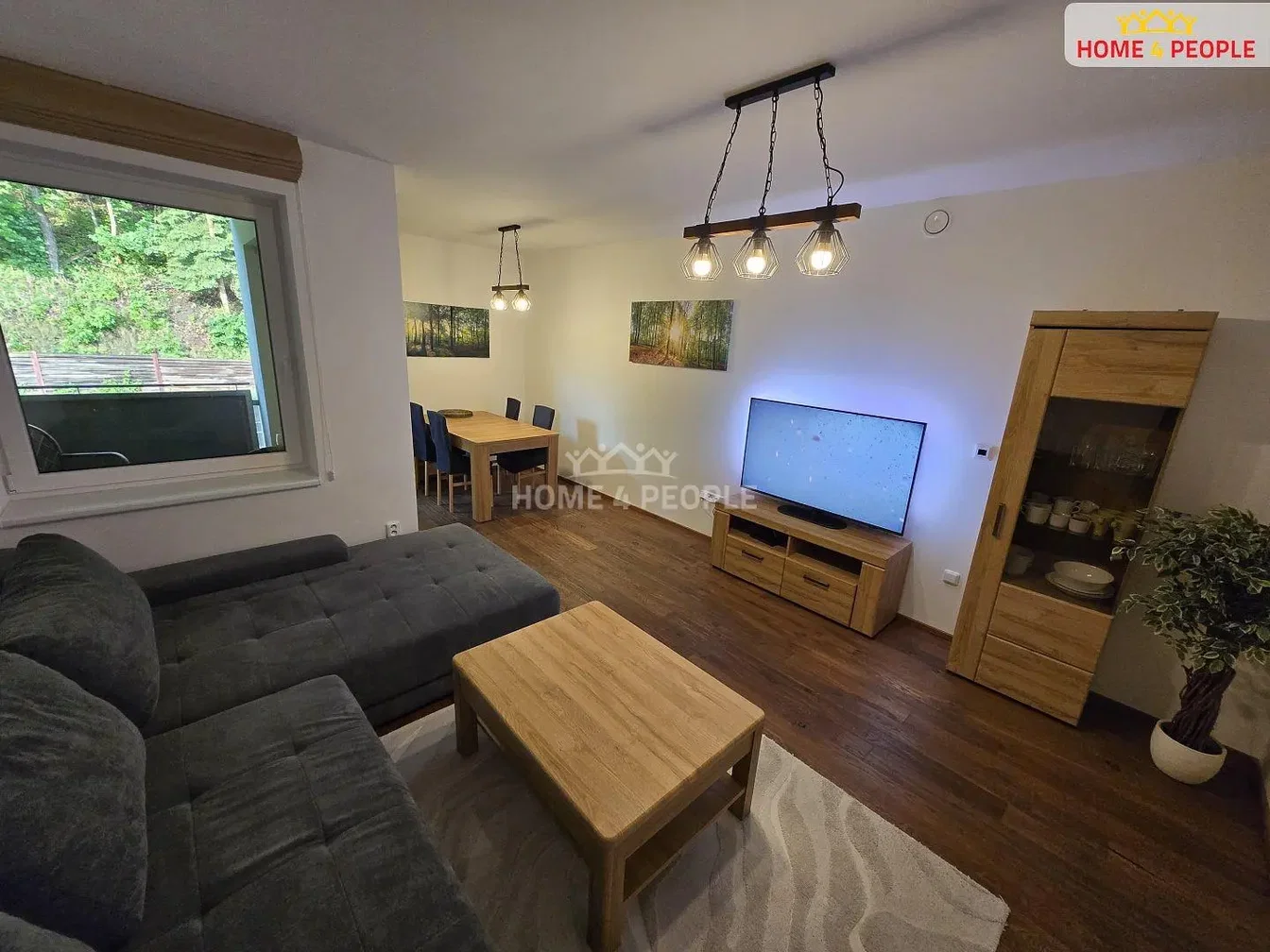 Living room; wood floor, natural light, modern style