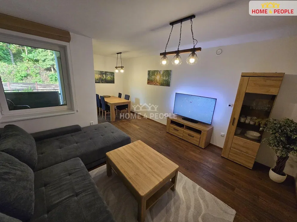 Living room; wood floor, natural light, modern style