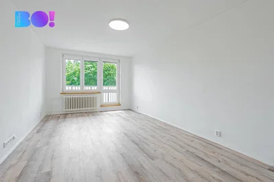 Autre; parquet, lumière naturelle