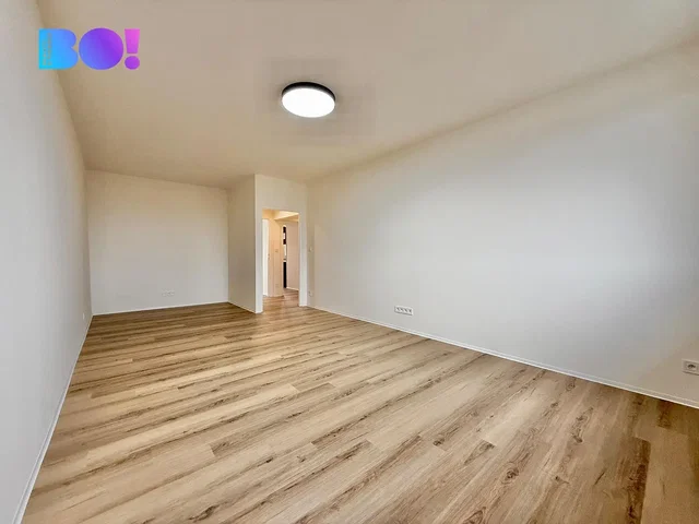 Autre; parquet, lumière naturelle