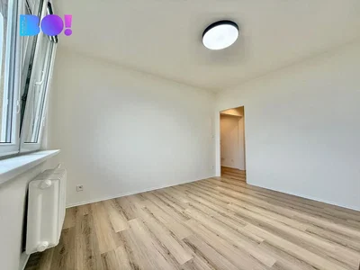 Other; wood floor, natural light