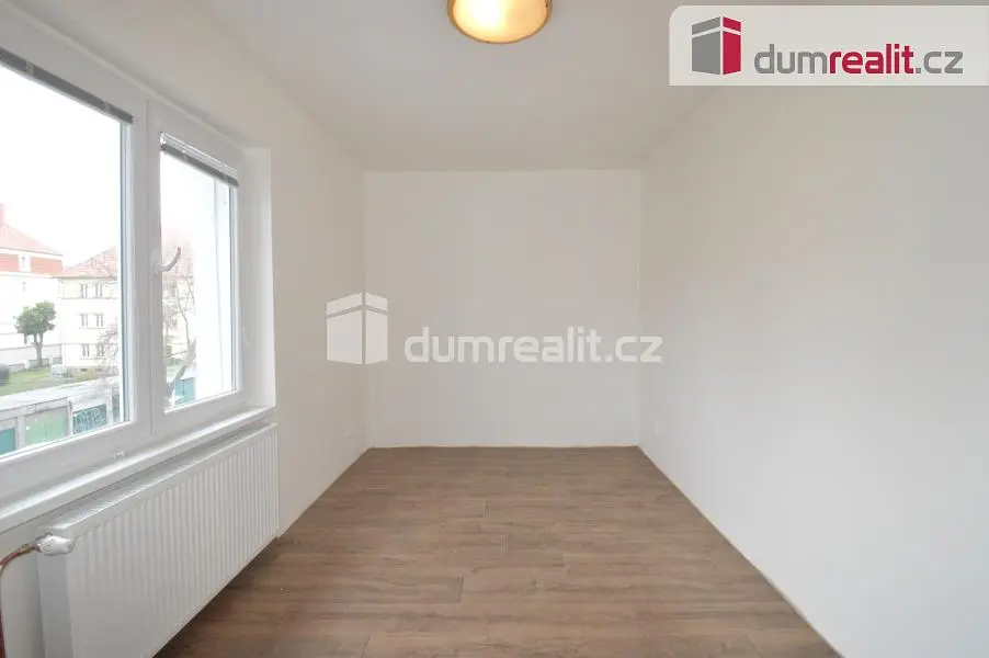 Ostatní; dřevěná podlaha, přirozené světlo, výhled