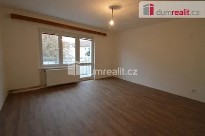 Ostatní; dřevěná podlaha, přirozené světlo