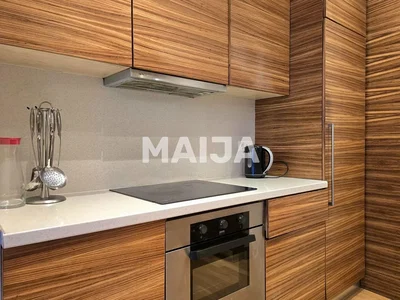 Cucina; elettrodomestici, pavimento in legno, ristrutturato, luce naturale