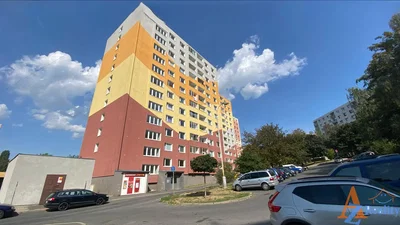 House and surroundings