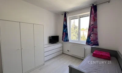 Diğer