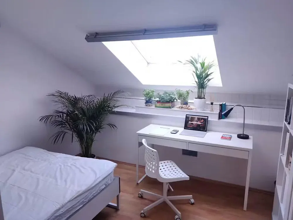 Bedroom; natural light, wood floor