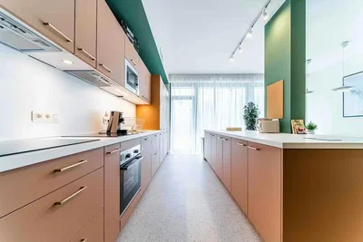 Cucina; elettrodomestici, luce naturale, stile moderno
