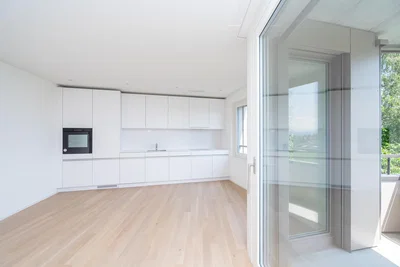 Cuisine; électroménager, parquet, lumière naturelle