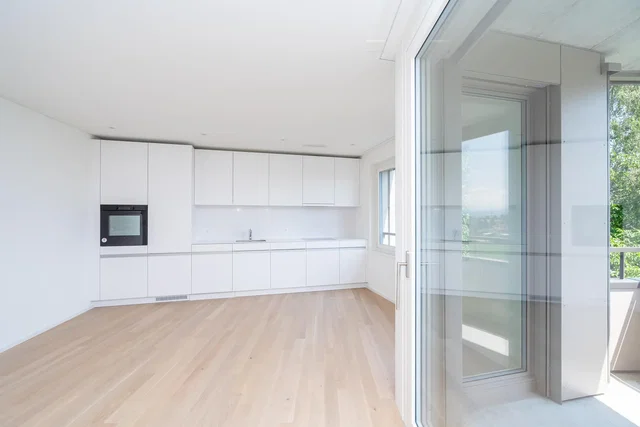 Cuisine; électroménager, parquet, lumière naturelle