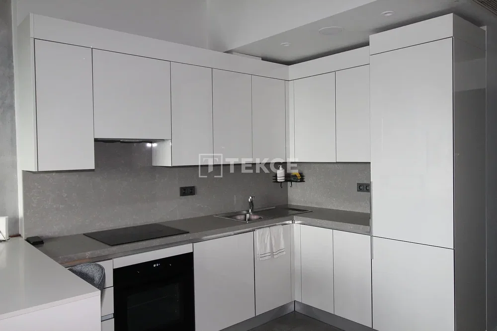 Kitchen; kitchen appliances, renovated, natural light