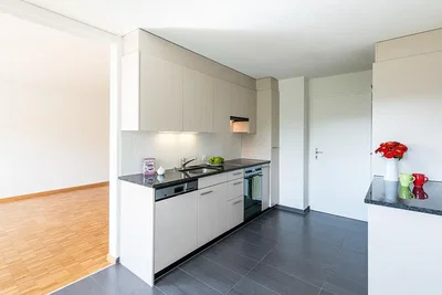 Cucina; elettrodomestici, pavimento in legno, pavimento in piastrelle, luce naturale, stile moderno